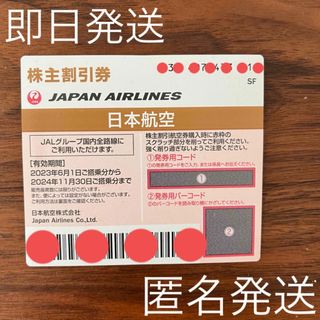 日本航空　JAL 株主優待　航空券(航空券)