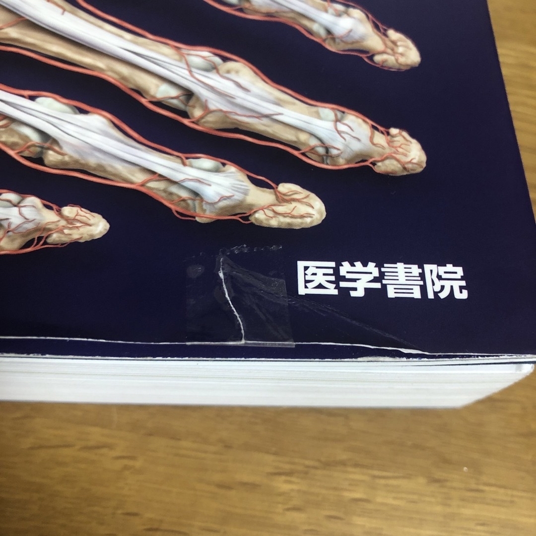 柔道整復　プロメテウス　解剖学アトラス　中古　医療事典 エンタメ/ホビーの本(健康/医学)の商品写真