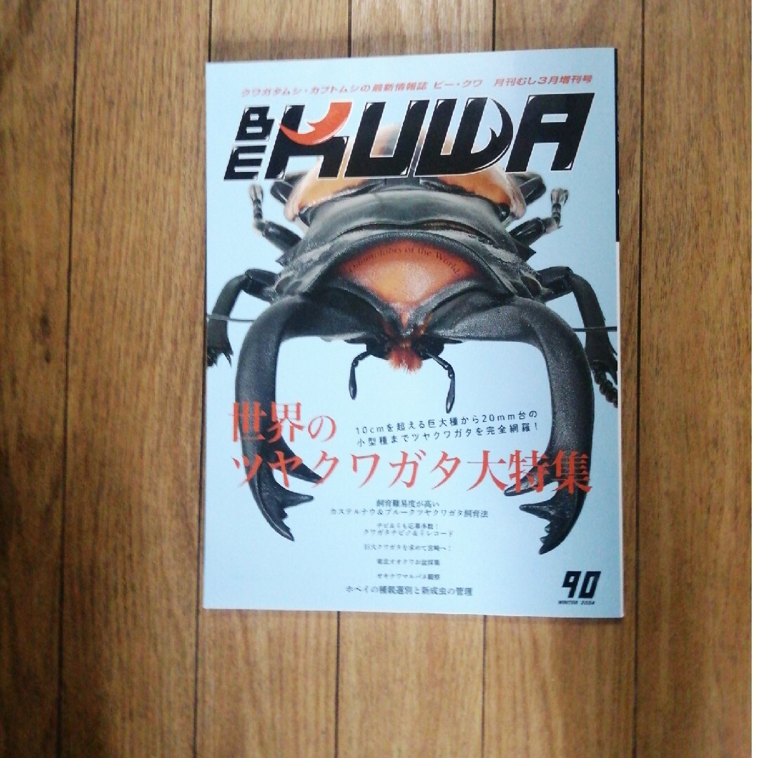 BE-KUWA(ビー・クワ) No.90 2024年 03月号 [雑誌] エンタメ/ホビーの雑誌(その他)の商品写真