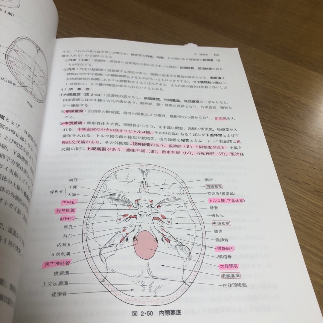 解剖学　改訂第二　中古 エンタメ/ホビーの本(健康/医学)の商品写真