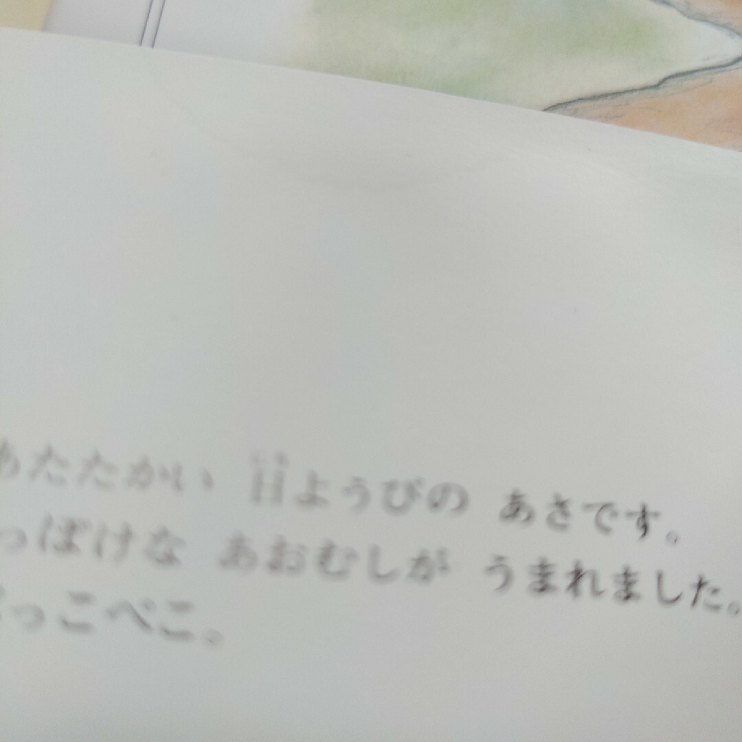 おやすみ、ロジャ－　どんなにきみがすきだかあててごらん　はらぺこあおむし エンタメ/ホビーの本(その他)の商品写真