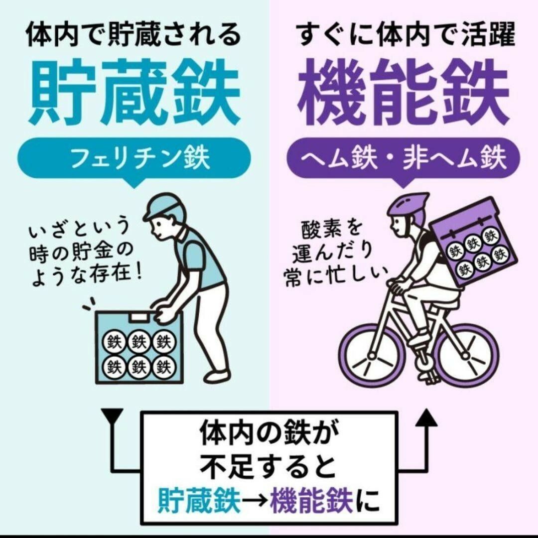 鉄 サプリメント 3種の鉄 鉄分 ヘム鉄 葉酸 ビタミンB12 90 食品/飲料/酒の健康食品(その他)の商品写真