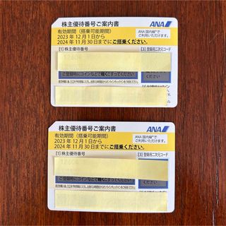 エーエヌエー(ゼンニッポンクウユ)(ANA(全日本空輸))のANA 株主優待券 2枚(その他)