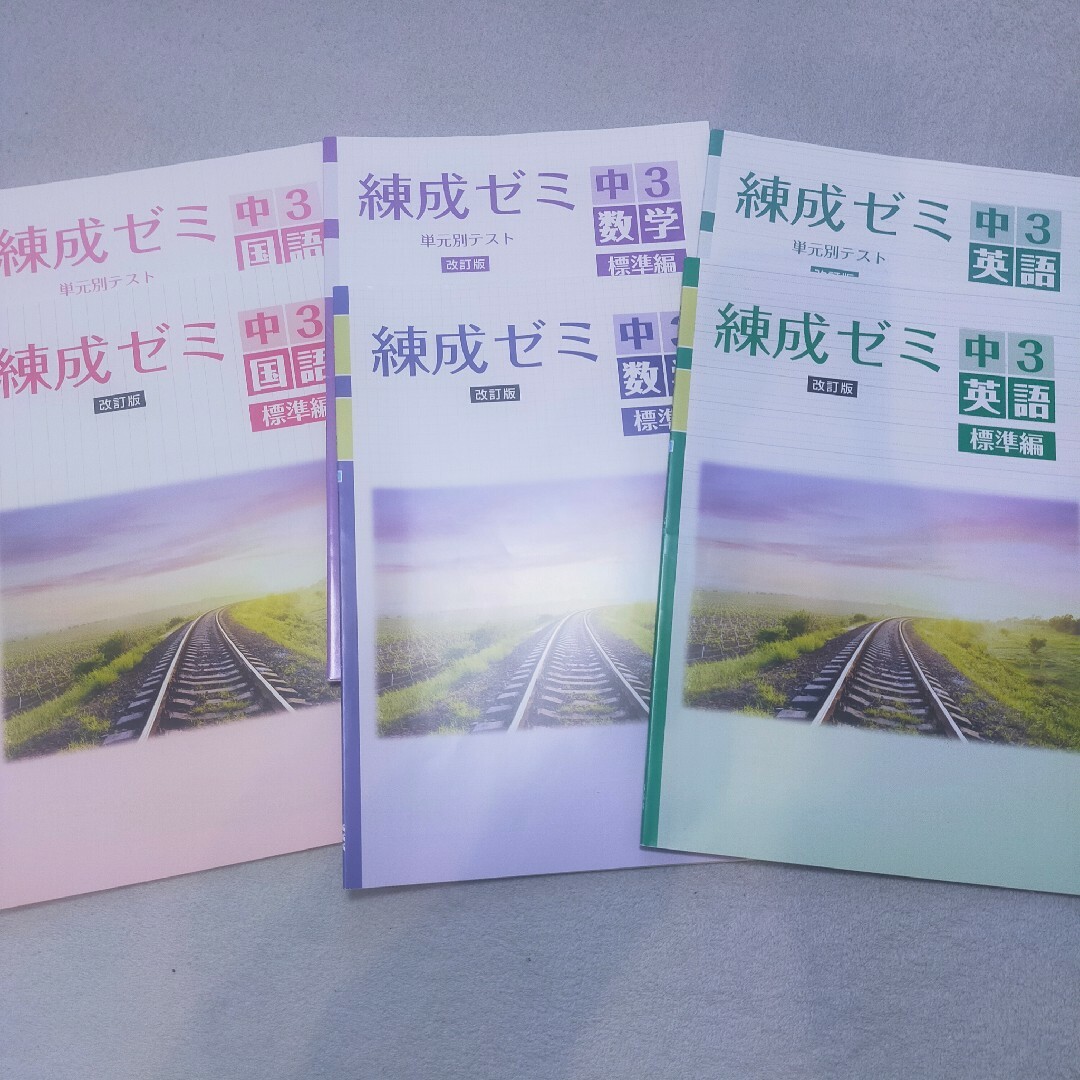 塾専用 練成ゼミ 中3 国語 数学 英語(訳あり) 標準編 3点セット エンタメ/ホビーの本(語学/参考書)の商品写真