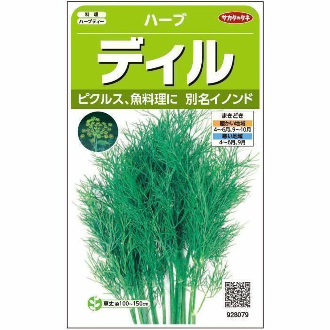 ディル イノンド 種100粒（ハーブ）花の種 エンタメ/ホビーのエンタメ その他(その他)の商品写真