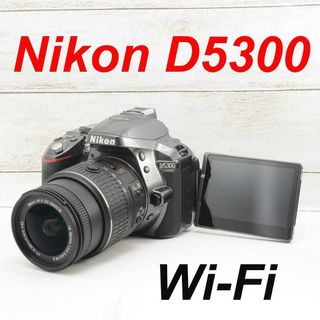 ❤️希少グレーカラー❤️WI-Fi &自撮り❤️Nikon D5300 1266(デジタル一眼)