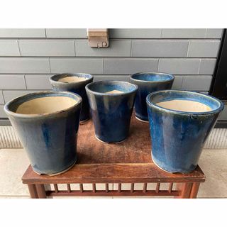 植木鉢　蘭鉢　5点セット　青　釉　観葉植物　山野草　花　雑木　盆栽　鉢　盆栽鉢(その他)