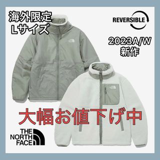 THE　NORTHFACE  リバーシブルフリースジャケット L　日本未発売(その他)