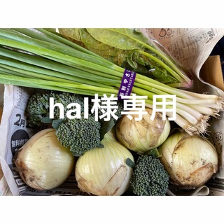 hal様専用(野菜)