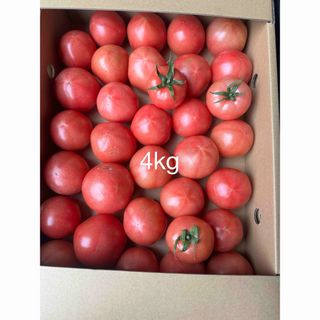 規格外トマト4kg(野菜)