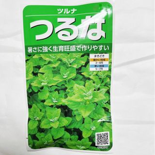 珍しく ニュージランド ほうれん草  野菜種 10粒(野菜)