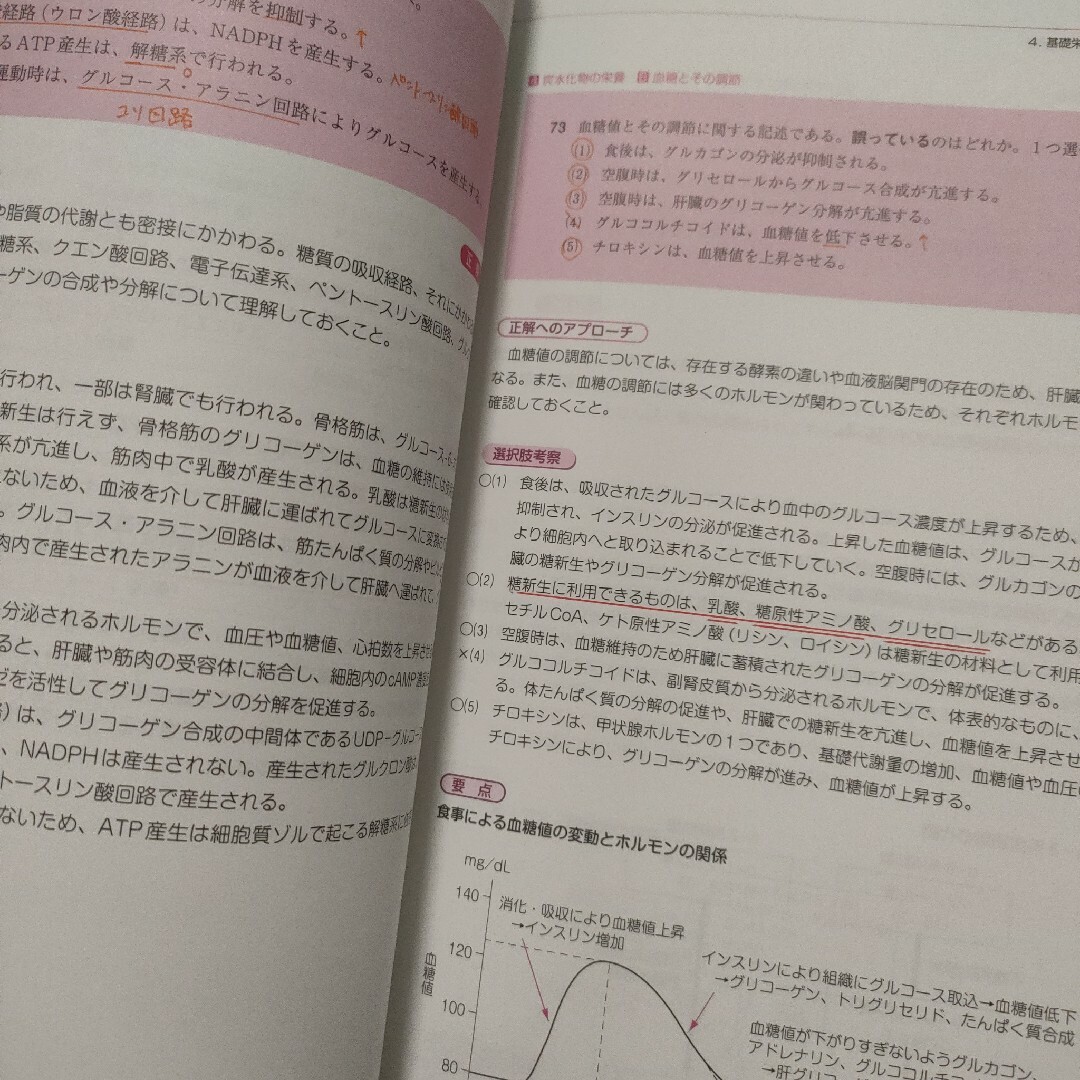 管理栄養士国家　全国統一模擬試験　日本医歯薬研修協会  384 エンタメ/ホビーの本(資格/検定)の商品写真