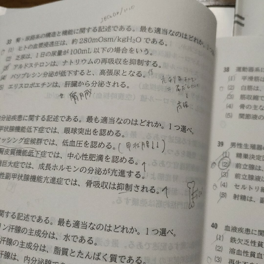 第38回管理栄養士国家試験対策全国統一模擬試験2 エンタメ/ホビーの本(資格/検定)の商品写真