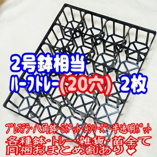 【システムトレー：ハーフ】2枚！スリット鉢 2号鉢相当 プラ鉢 プレステラ 多肉(プランター)