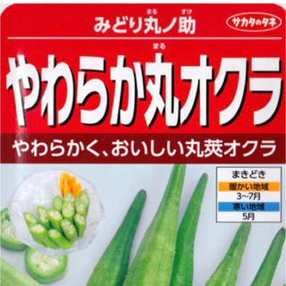 やわらかく おいしい丸オクラ 野菜種 6粒(野菜)