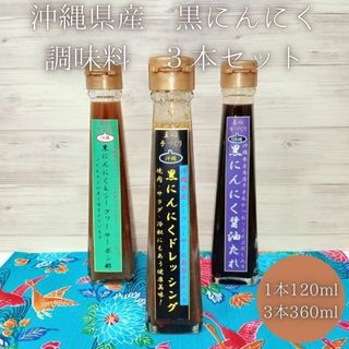 沖縄産 黒にんにく 調味料 お土産 ドレッシング ポン酢 120ml x 3本(調味料)