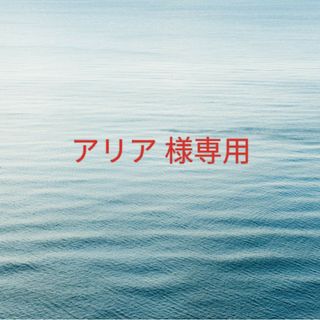 ザセム(the saem)のアリア 様専用(コンシーラー)