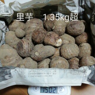 里芋　1.35kg超　無農薬栽培のさといも　自家用　さつまいもの大盛況に感謝(野菜)