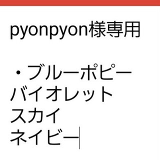 pyonpyon様専用(その他)
