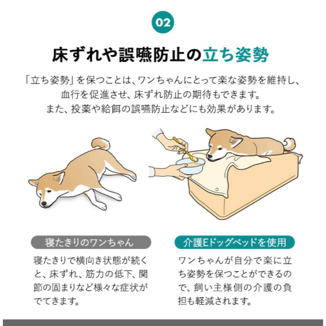 介護用　Ｅドッグベッド　Ｌサイズ その他のペット用品(犬)の商品写真