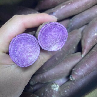 3.お買い得超人気　　紫芋　ふくむらさきいも　箱込み約5kg(野菜)