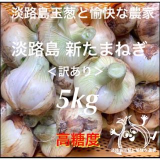 ＜訳あり＞淡路島産新玉ねぎ5kg 高糖度 新玉葱 新たまねぎ (野菜)