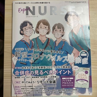 Expert Nurse (エキスパートナース) 2021年 01月号 [雑誌](専門誌)