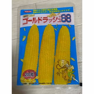 ゴールドラッシュ　とうもろこし　種(野菜)