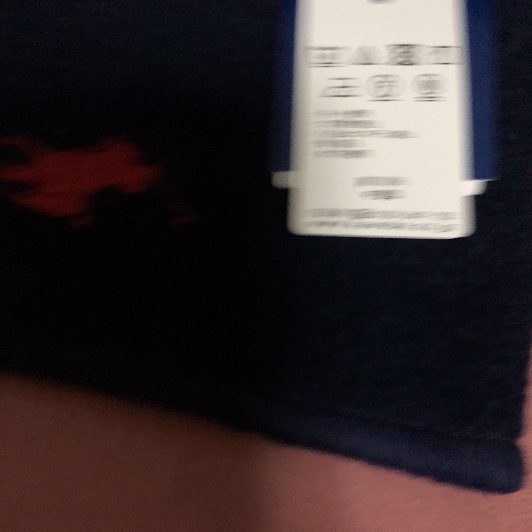 POLO RALPH LAUREN(ポロラルフローレン)のラルフローレン  ハンカチ新品未使用 レディースのファッション小物(ハンカチ)の商品写真