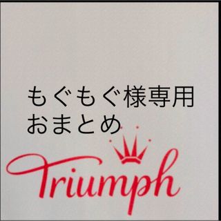 トリンプ(Triumph)の【新品タグ付】trクラシカルレース・ローズピンクF75L（定価¥7,799）(ブラ&ショーツセット)