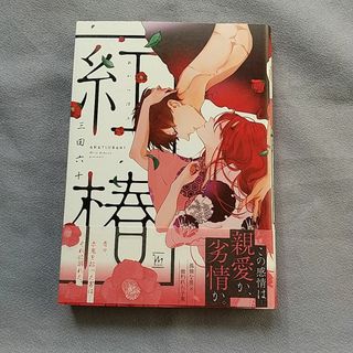 BLコミック4冊セット商業 宝井さき相葉キョウコバラ売り可☆恋と服従の