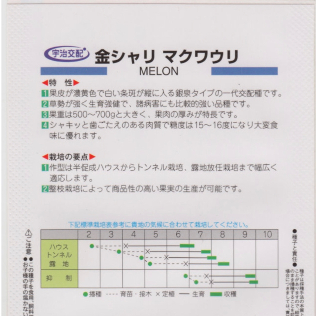 大人気 韓国マクワウリ 金シャリ 野菜種5粒 食品/飲料/酒の食品(野菜)の商品写真