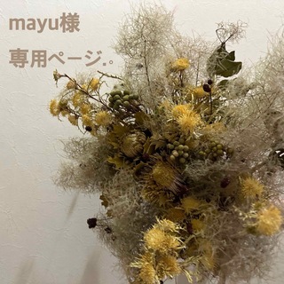 メイタンテイコナン(名探偵コナン)のmayu様 専用ページ.∘(その他)