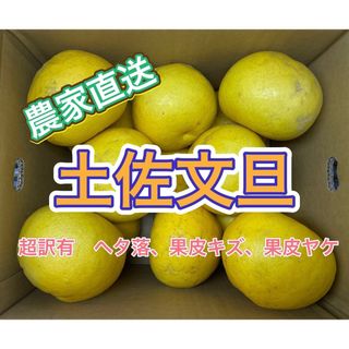 【超訳有】土佐文旦　愛媛県産　5kg(箱込)(フルーツ)