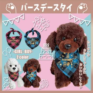 495 B バースデースタイ  バンダナ 犬 ペット用 お祝い 誕生日 撮影(犬)