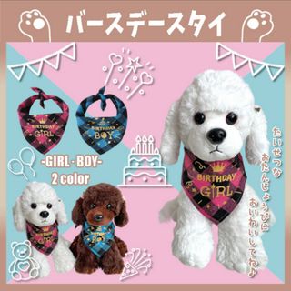 495 P バースデースタイ  バンダナ 犬 ペット用 お祝い 誕生日 撮影(犬)