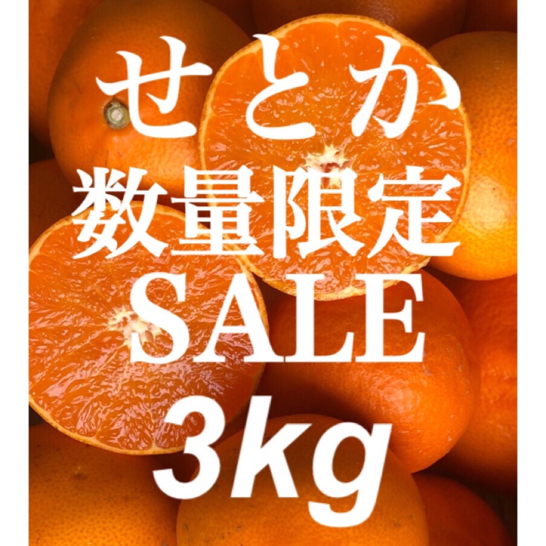 愛媛県産 みかん 高級柑橘 せとか 箱別3kg 発送 柑橘 ミカン 果物 食品/飲料/酒の食品(フルーツ)の商品写真