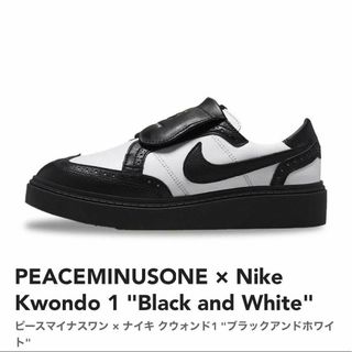 PEACEMINUSONE - PEACEMINUSONE × Nike Kwondo1(ピースマイナスワン)