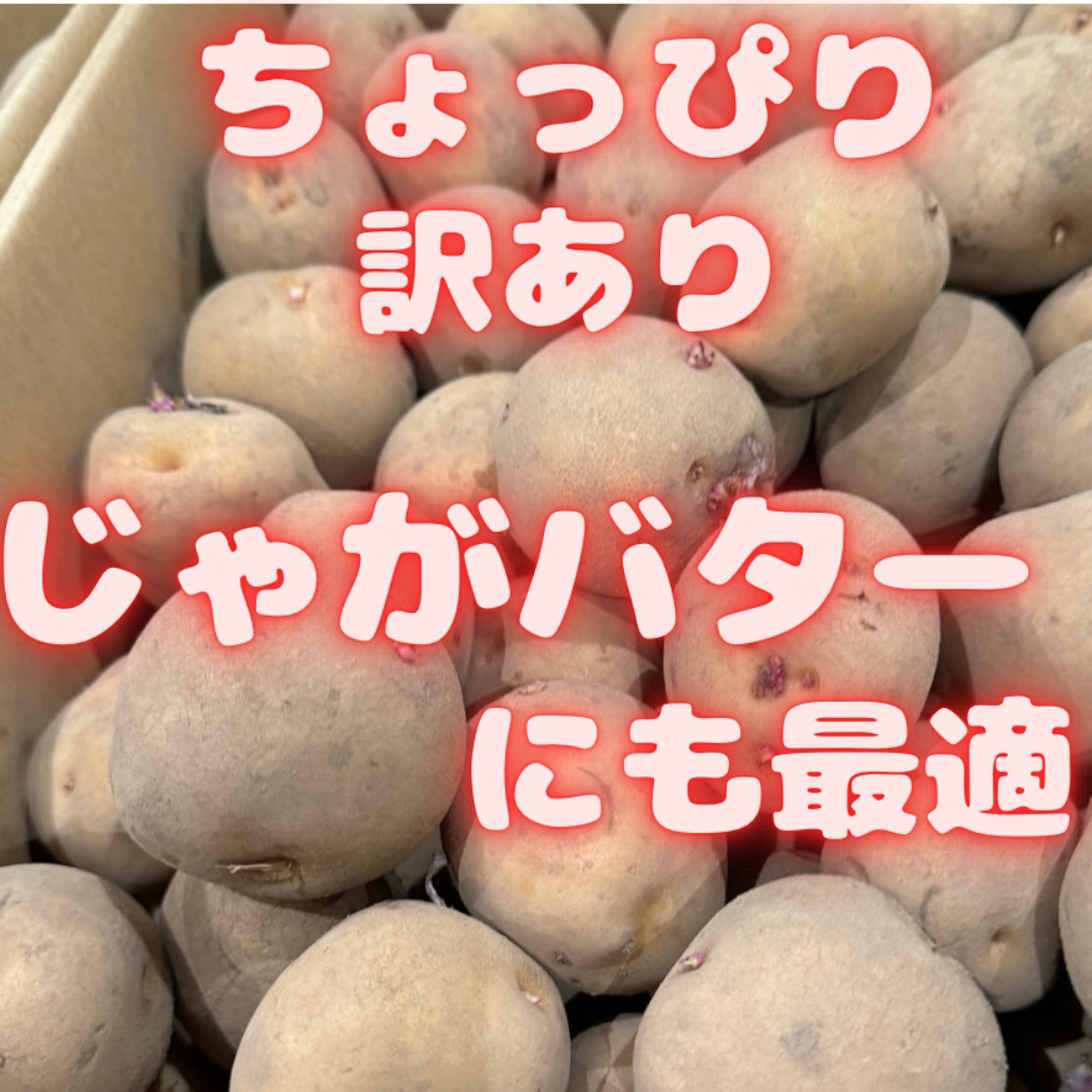 期間限定販売❗️ めっちゃ安い　じゃがいも　20kg 44 食品/飲料/酒の食品(野菜)の商品写真