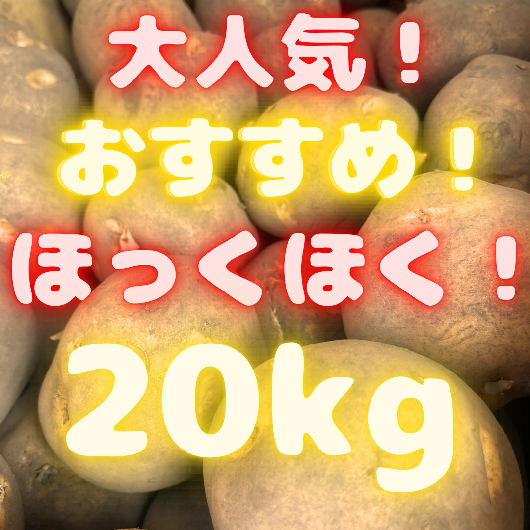 期間限定販売❗️ めっちゃ安い　じゃがいも　20kg 44 食品/飲料/酒の食品(野菜)の商品写真