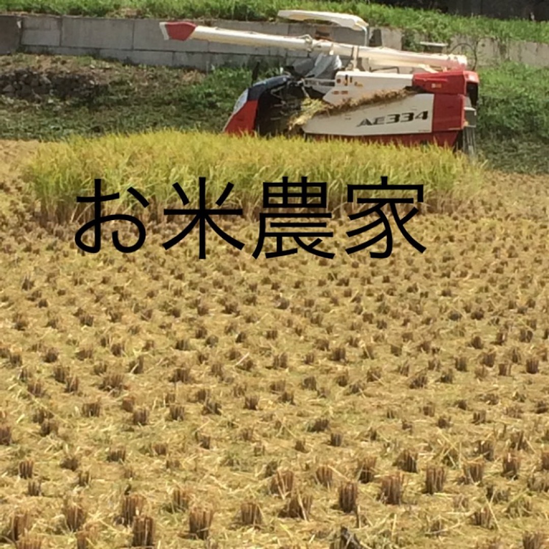 daria様専用　無農薬　純こしひかり20㎏ 玄米 食品/飲料/酒の食品(米/穀物)の商品写真