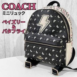 コーチ(COACH)の美品 COACH ミニ リュック サック チャーリー ペイズリー F59330(リュック/バックパック)