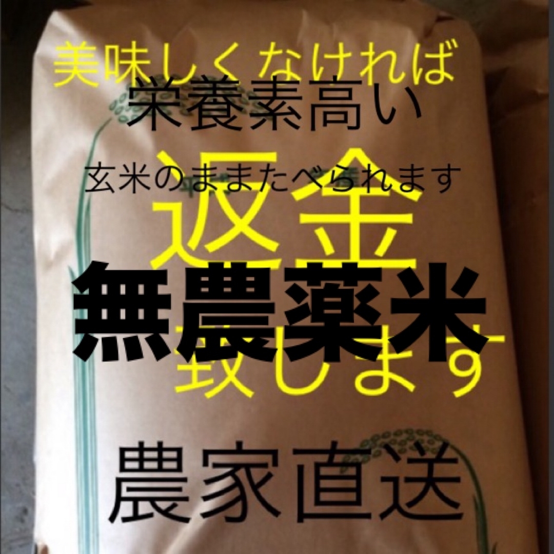 マショマロ様専用　無農薬　純こしひかり10㎏ 玄米 食品/飲料/酒の食品(米/穀物)の商品写真