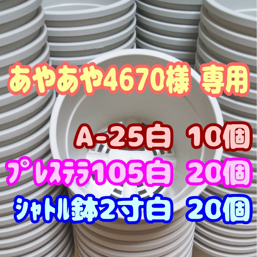 プラ鉢【A-25】10個 他 スリット鉢 丸 プレステラ 多肉植物 ハンドメイドのフラワー/ガーデン(プランター)の商品写真