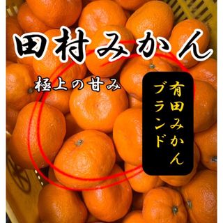 みかん　田村のみかん　約1キロ  規格外　綺麗目(フルーツ)