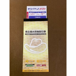 イエローハット お買物割引券3000円 株主優待券(印刷物)