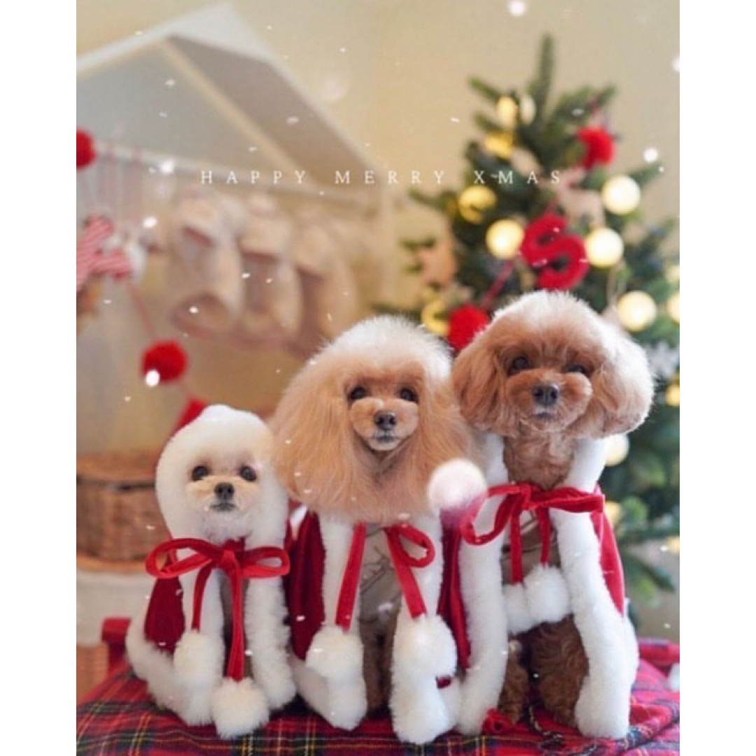 PET PARADISE(ペットパラダイス)のドッグウェア★新品 リバーシブル クリスマス ポンチョ その他のペット用品(犬)の商品写真