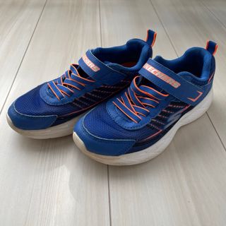 スケッチャーズ(SKECHERS)のスケッチャーズ　20センチ(スニーカー)