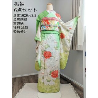 振袖６点セット 身丈162裄63.5 牡丹 乱菊 金駒刺繍 染め分け 黄緑(振袖)