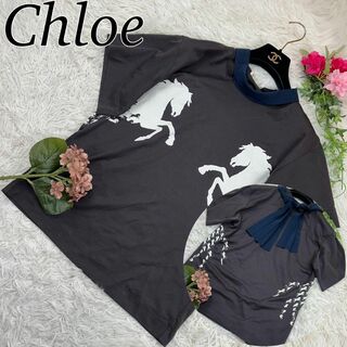 クロエ(Chloe)のChloe クロエ レディース Mサイズ 半袖 Tシャツ リボン ホース 馬(Tシャツ(半袖/袖なし))